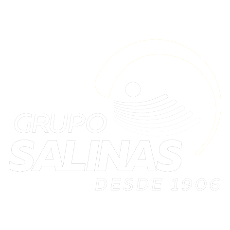 GRUPO SALINAS